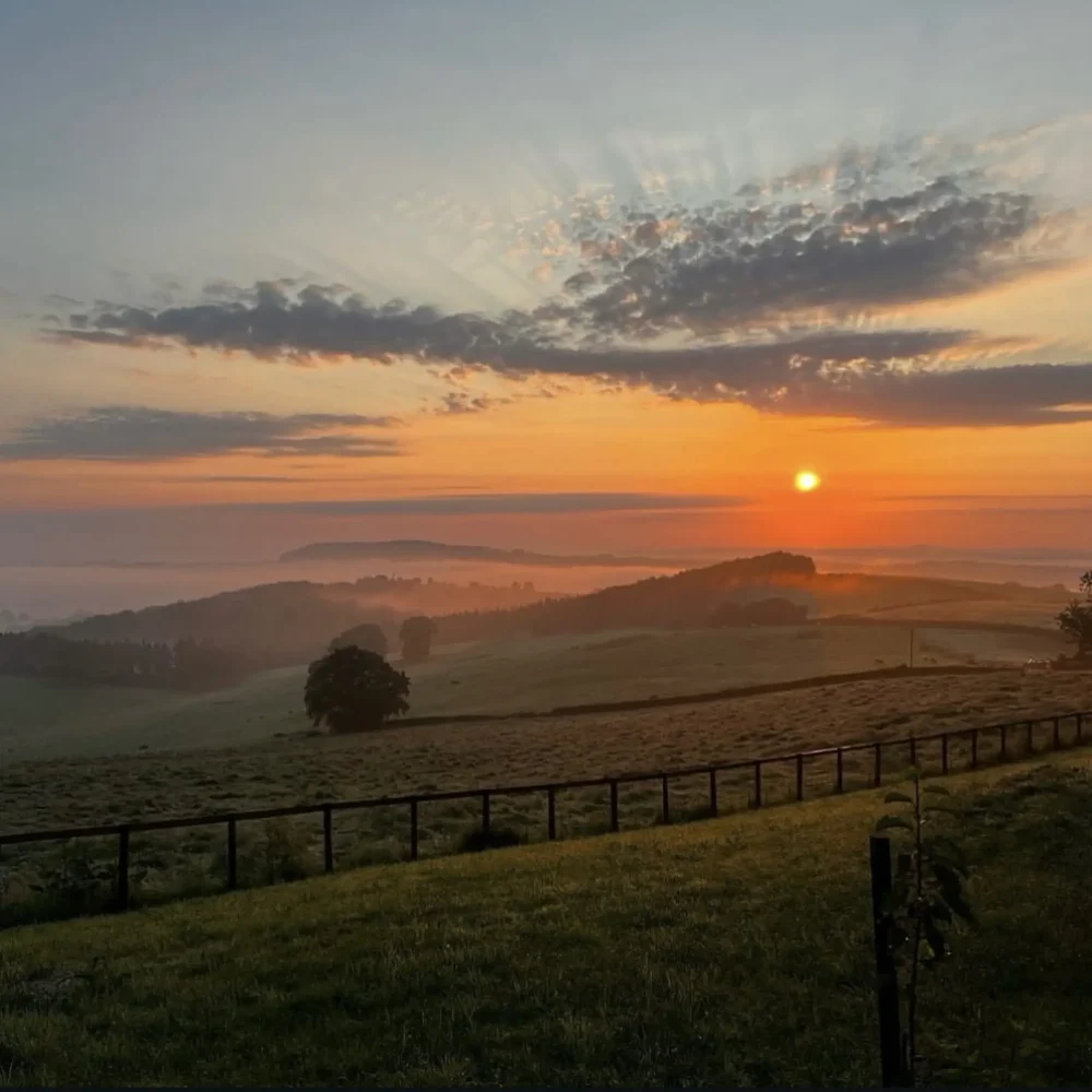 BCR Sunrise