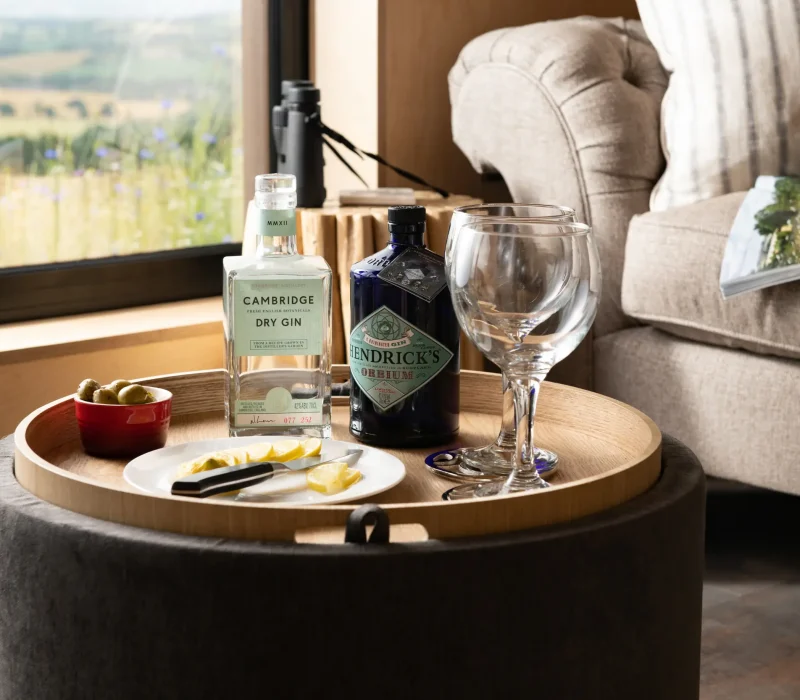 Close-up of gin on the coffee table in the cosy living area at Barn Owl Retreat