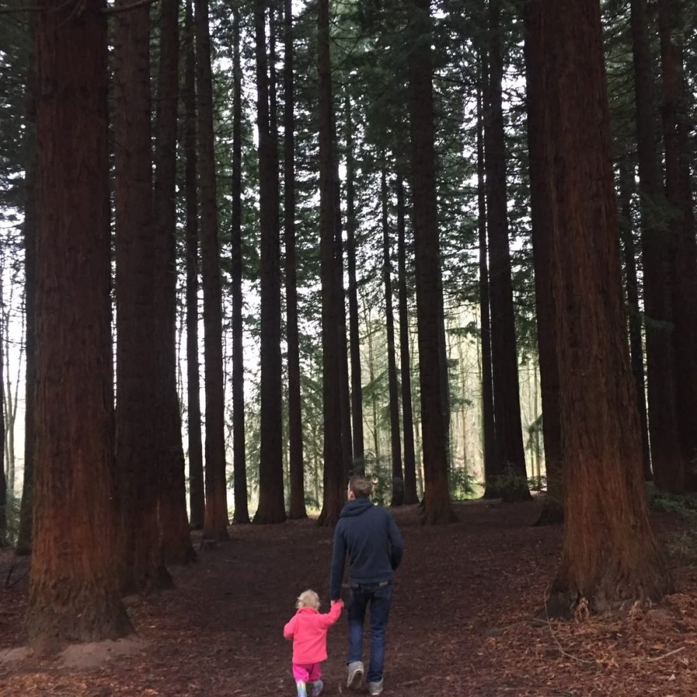 Woodland walking