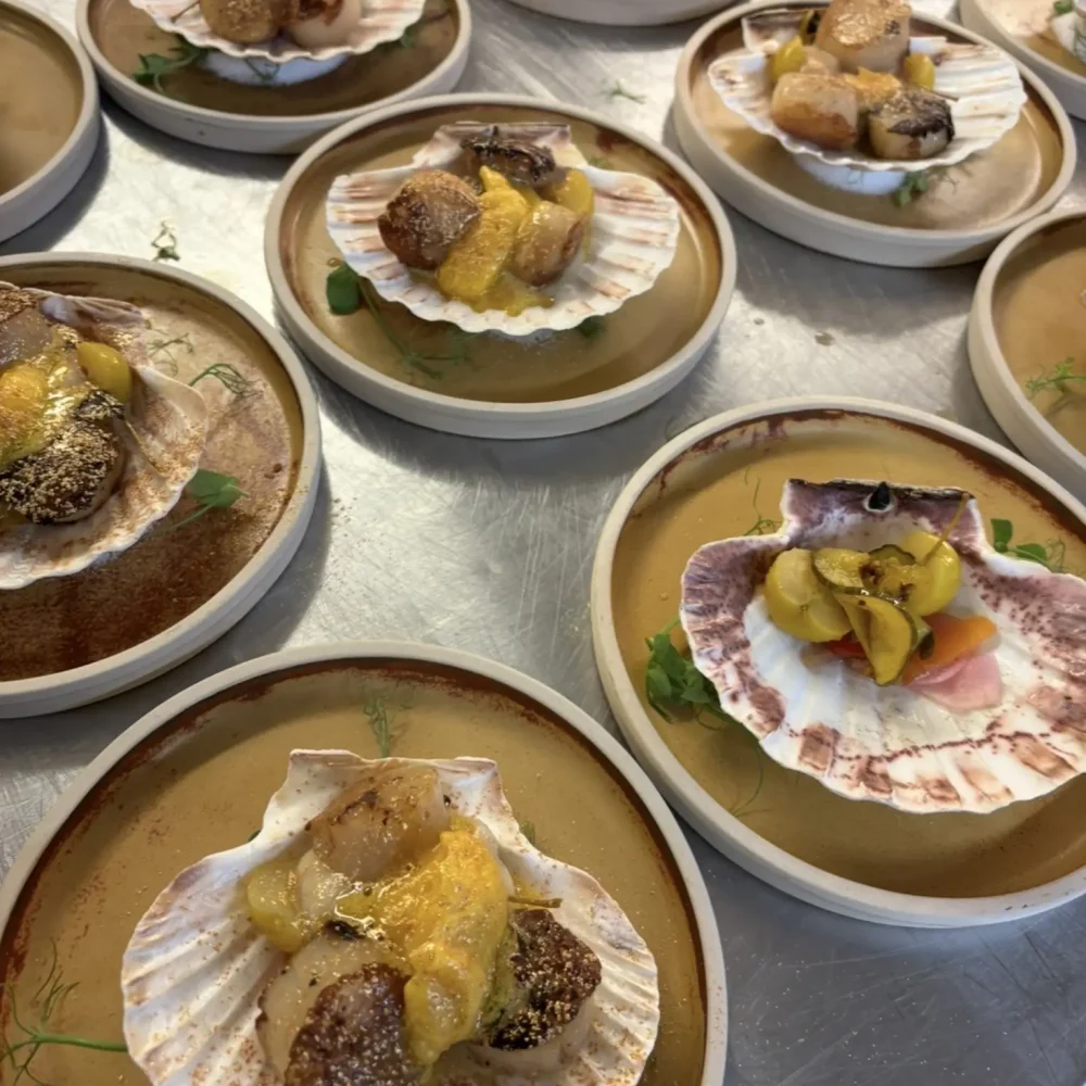YOUR PLATE OR MINE