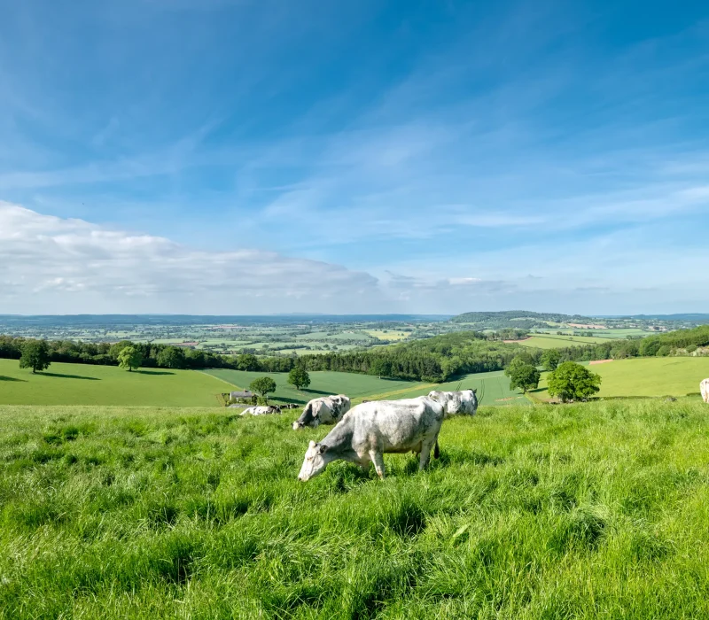 herefordshire-countryside